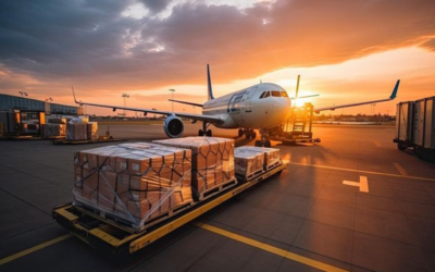 Jalur Hijau Bea Cukai Adalah Mekanisme Impor Cepat dan Minim Pemeriksaan