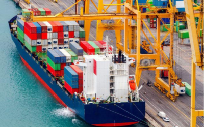 Jasa Freight Forwarding Terpercaya yang Dicari Banyak Bisnis